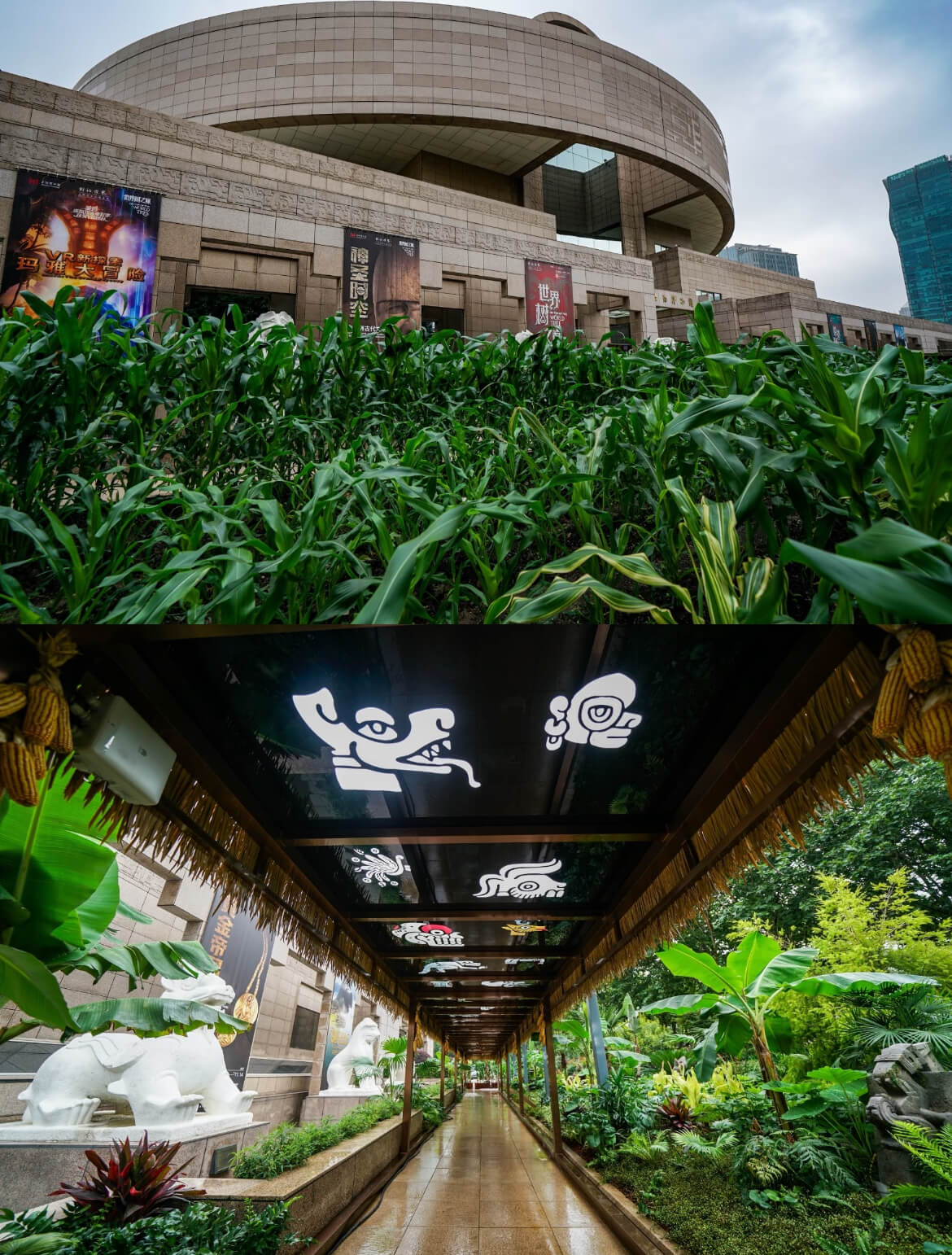 Special Exhibition